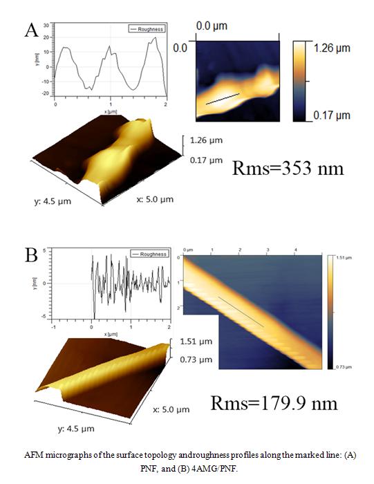 AFM micrographs of the surface topology and roughness profiles along ...