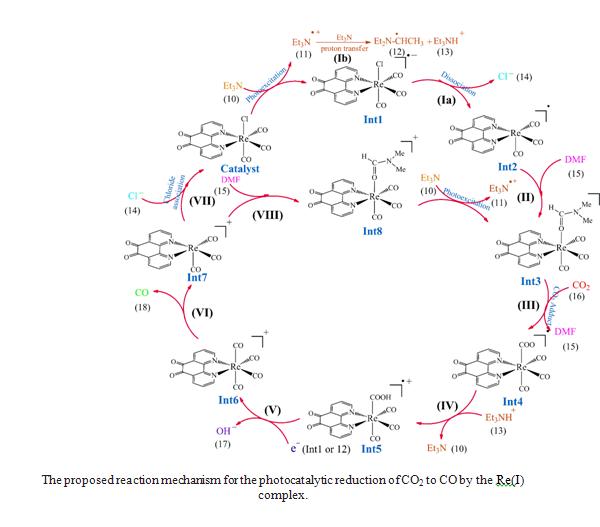 The proposed reaction mechanism for the photocatalytic reduction of CO2 ...